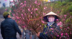 Kinh doanh gì dịp Tết 2018