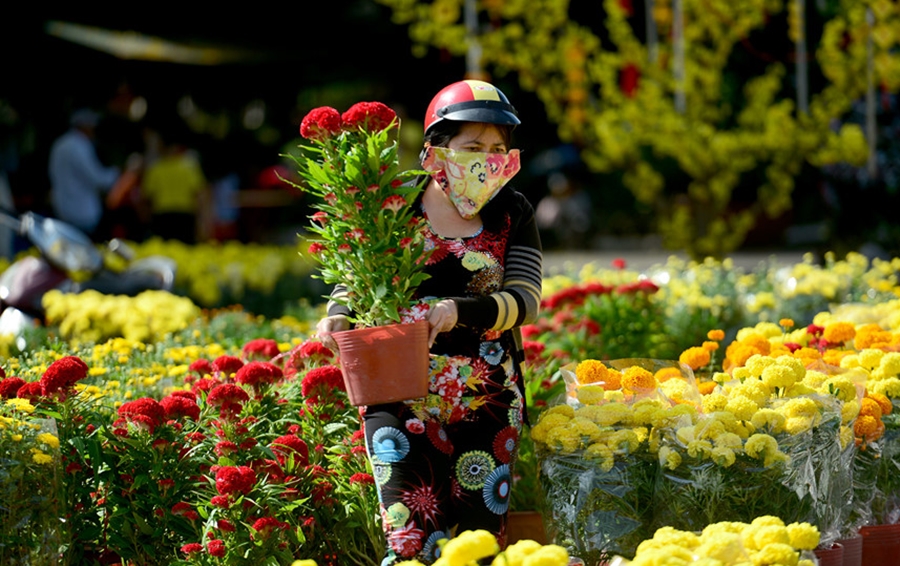 Kinh-doanh-hoa-tuoi-dip-Tet-hieu-qua-5