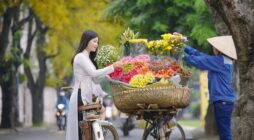 Kinh nghiệm kinh doanh hoa tươi ngày Tết