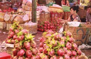 Lấy sỉ trái cây ở đâu để kinh doanh hiệu quả
