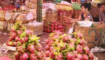 Lay-si-trai-cay-o-dau-khi-kinh-doanh-trai-cay-7