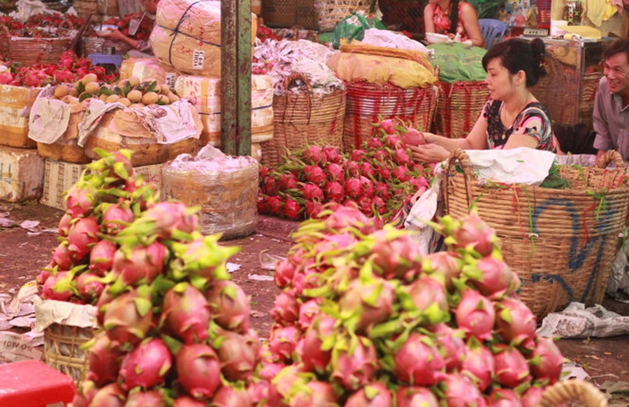 Lay-si-trai-cay-o-dau-khi-kinh-doanh-trai-cay-7