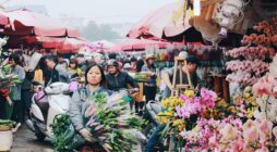 Các nguồn hàng hoa tươi phổ biến nhất