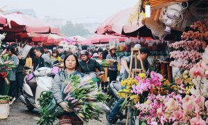 Các nguồn hàng hoa tươi phổ biến nhất