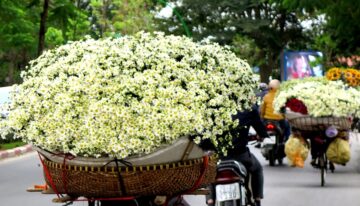 Tim-nguon-hang-hoa-tuoi-tu-cho-dau-moi-4