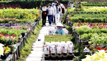 Tim-nguon-hang-kinh-doanh-hoa-tuoi-chat-luong-4