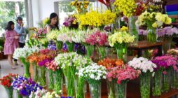Cách lập kế hoạch kinh doanh hoa tươi hiệu quả nhất