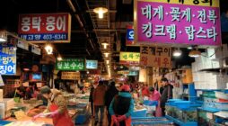 Cách lấy hàng Hàn Quốc cho người mới kinh doanh