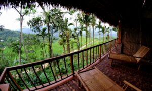 Thủ tục kinh doanh homestay bạn cần biết